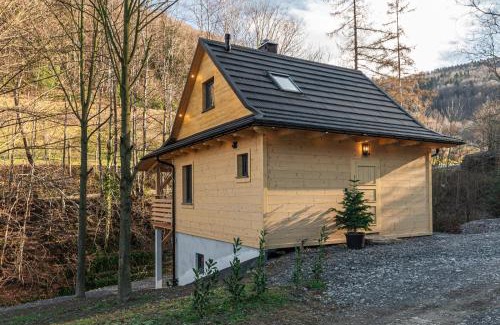 Laskowa Ski Chalet | Solankowe Zacisze Żmiąca