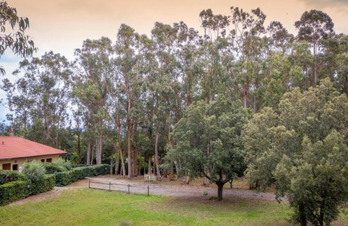 Bibbona House | Sole 6 - Monolocale con soppalco