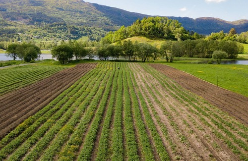 Arna Other | Solneset Farm Hotel