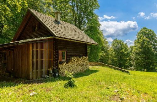 Hrib pri Hinjah Ski Chalet | Somova gora chalet in the woods