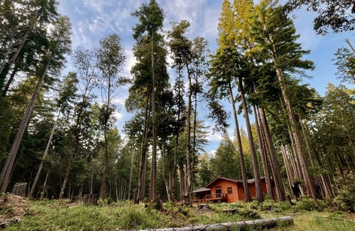Cazadero Cabin | Sonoma Coast Timber Cove Cabin Retreat, Sonoma Coast Timber Cove 3b/2.5 Cabin In The Redwoods