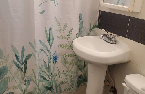 Northeast Miami Apartment | Soothing apartment 420 Friendly in Miami Beach