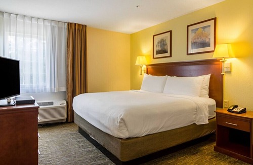 Arlington House | Sophisticated Room w/ Cozy Ambiance! Pet-Friendly