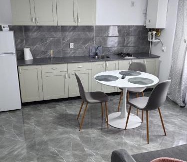 Tirgu Neamt Apartment | SorinaApartament2