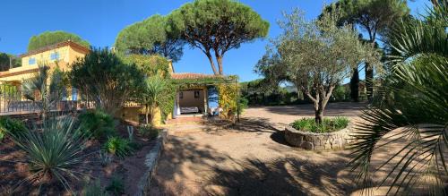 Vidauban House | Sous les pins parasols