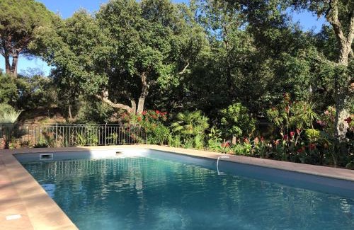 Vidauban House | Sous les pins parasols