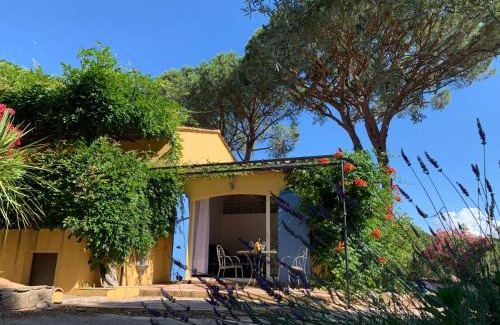 Vidauban House | Sous les pins parasols