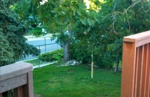 Devil's Thumb - Rolling Hill House | South Boulder 2 BR Apartment (option for 5 BR home) - 30 day min