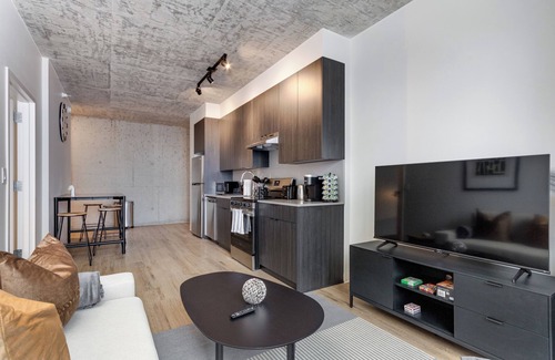 The Loop Apartment | South Loop | Rooftop With In & Out Parking