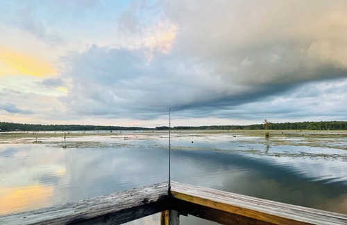Donalsonville House | "Southern Comfort Lake House" on Lake Seminole-Covered Dock with Elec/Water!