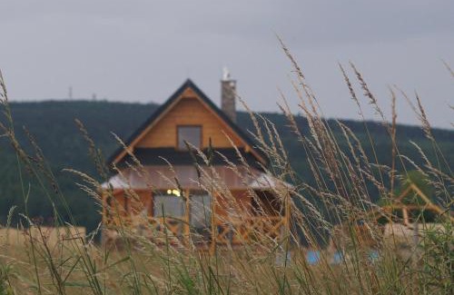 Sierpnica House | Sowi Widok
