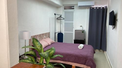 Zona Centro House | SP Rooms Centro Histórico 1 recámara matrimonial con baño privado