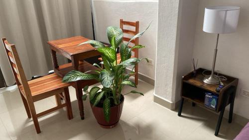 Zona Centro House | SP Rooms Centro Histórico 1 recámara matrimonial con baño privado