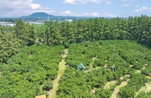 Jocheon Hotel | Spabellis