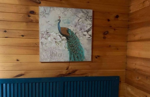 Dora Cabin | Spacious 1200sf cabin (7) in Ozark county near the river. Pets allowed.