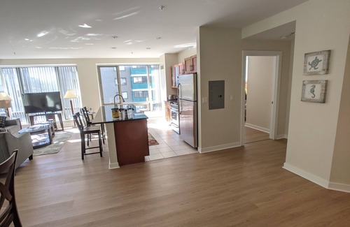 West End Apartment | Spacious 2 Bed/Bath Apt Nearby MGH,MIT,Harvard, Washer/Dryer in suite, Modern Bd