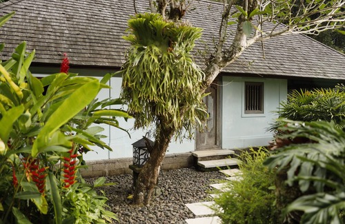 Bongkasa Pertiwi Villa | Spacious 3 bedrooms in private villa with rice field view