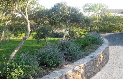 Tom Nevers House | Spacious 5BR 7 bath Home on 3 Acres Near Beach/Bike Path/Shuttle Bus