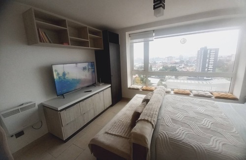 Valdivia Apartment | Spacious and beautiful studio apartment in Valdivia. Unbeatable location and equipment!