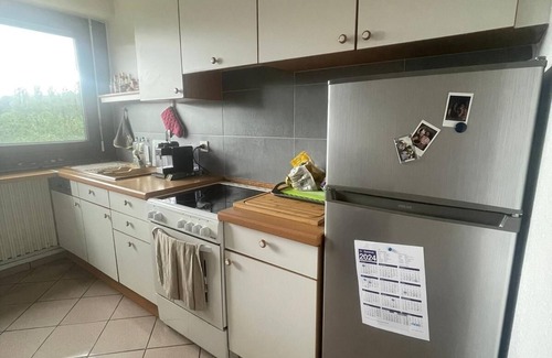 Ferney-Voltaire Apartment | Spacious apartment near the UN