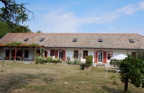 Nagyszekely Apartment | Spacious apartment with use of swimming pond in tranquil village