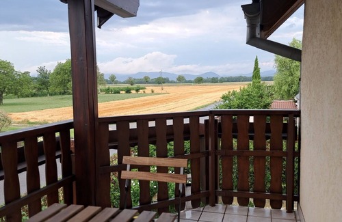 Mackenheim Apartment | Spacious apartment in the heart of Alsace 30 minutes from Europa-Park