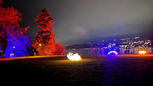 Horgen District Apartment | Spacious apartment with lake view and garden