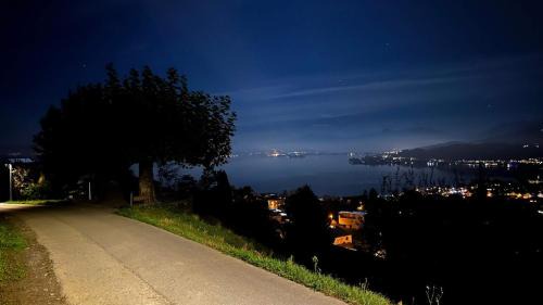 Horgen District Apartment | Spacious apartment with lake view and garden