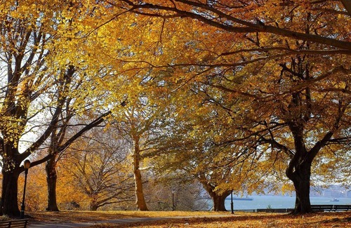 Bay Ridge Apartment | Spacious apt in SW Brooklyn on a tree-lined st. 10min to R train, 9min to Ferry.