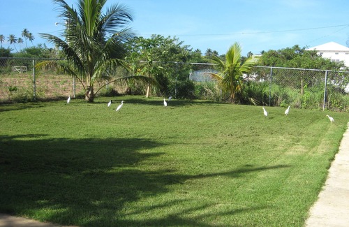 Jobos Apartment | Spacious, attractively decorated 2 BR 1bath gated Apt, 4 Mins to Jobos Beach