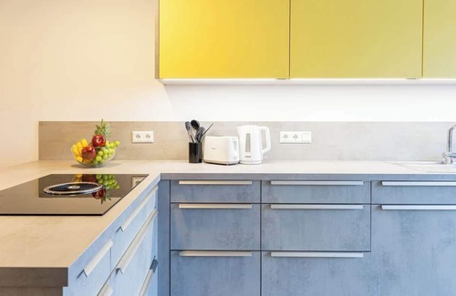 Bad Krozingen Apartment | Spacious, barrier-free apartment with 2 balconies