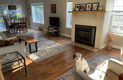 Jacksonville House | Spacious Beautiful Home in Forest, Mountain Views, 5 Min. to Jacksonville, PETS!
