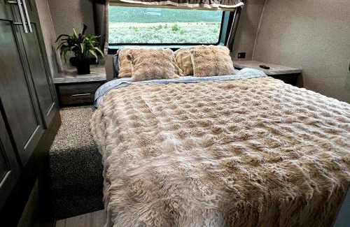 Questa House | Spacious Camper on a Llama Rescue Ranch with Stunning Views near Questa, New Mexico