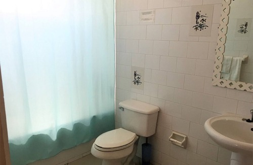 Old Trees Bay Apartment | Spacious Comfortable Apartments Steps From The Beach At Paynes Bay. Sunbeams.