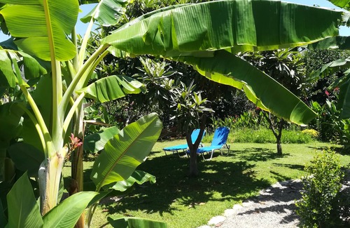 Lefktron Apartment | Spacious, family friendly ground floor apartment with large garden near the sea
