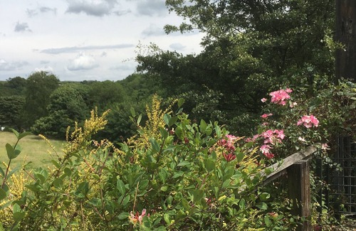 Millers Dale House | Spacious Holiday Home with Private Garden and Log Burning Stove in Peak District