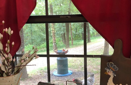 Russellville Apartment | Spacious handicapped accessible peaceful grotto in the enchanted forest.