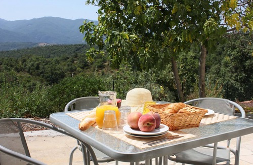 Ceret Villa | Spacious House Set In A Magnificent Surroundings