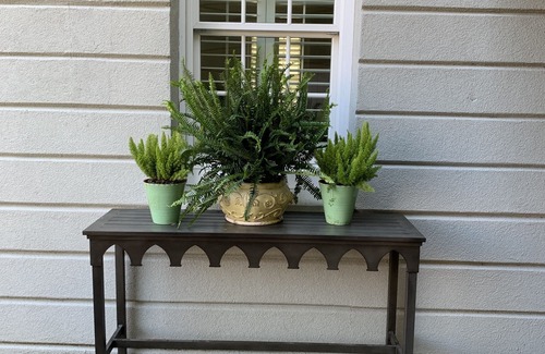 Georgetown Apartment | Spacious living in Historic Georgetown with shops, dining, museums steps away!