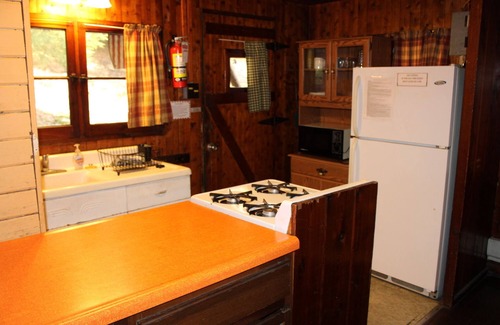 Clarington Cabin | Spacious Log Cabin with Fireplace