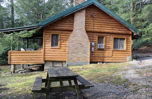 Clarington Cabin | Spacious Log Cabin with Fireplace
