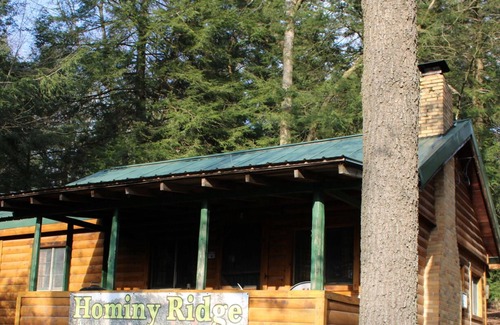 Clarington Cabin | Spacious Log Cabin with Fireplace