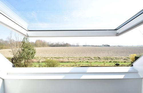 Bruinisse Villa | Spacious Mansion with Meadow View in Bruinisse