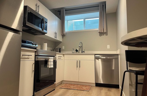 Northeast Edmonton House | Spacious new basement suite in a quiet neighbourhood (Private side entrance)