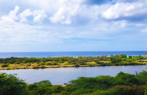 Piscadera Apartment | Spacious ocean view apartment at Royal Palm resort