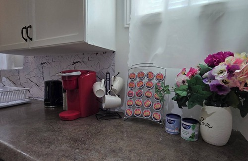 Halton Regional Municipality Apartment | Spacious, Pet Friendly Basement Apartment