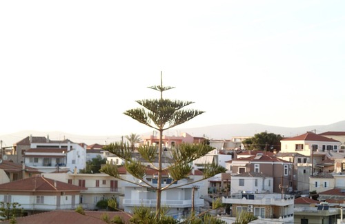 Kranidi Apartment | Spacious, quiet, 2nd floor apartment with the beach only 6km away by push bike.