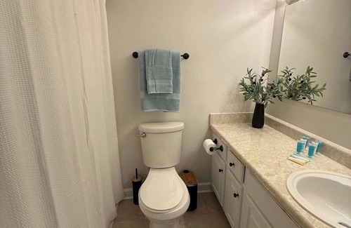Vestavia Hills Apartment | Spacious Retreat Minutes from Samford