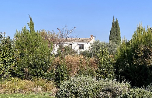 Cavaillon Bed & Breakfast | Spacious room decorated with charm and minimalism