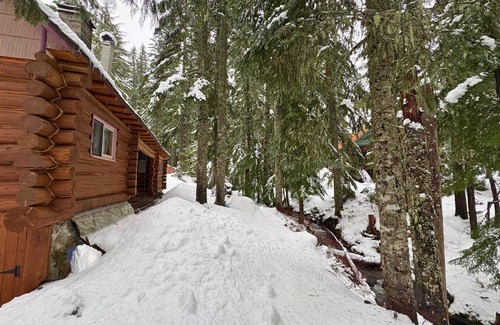 Government Camp House | Spacious Steiner Cabin on quiet street and stream.